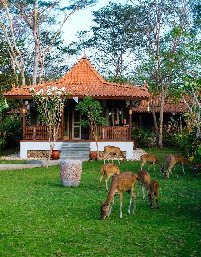 Plataran Menjangan Resort And Spa - Chse Certified Banyuwedang Camera foto